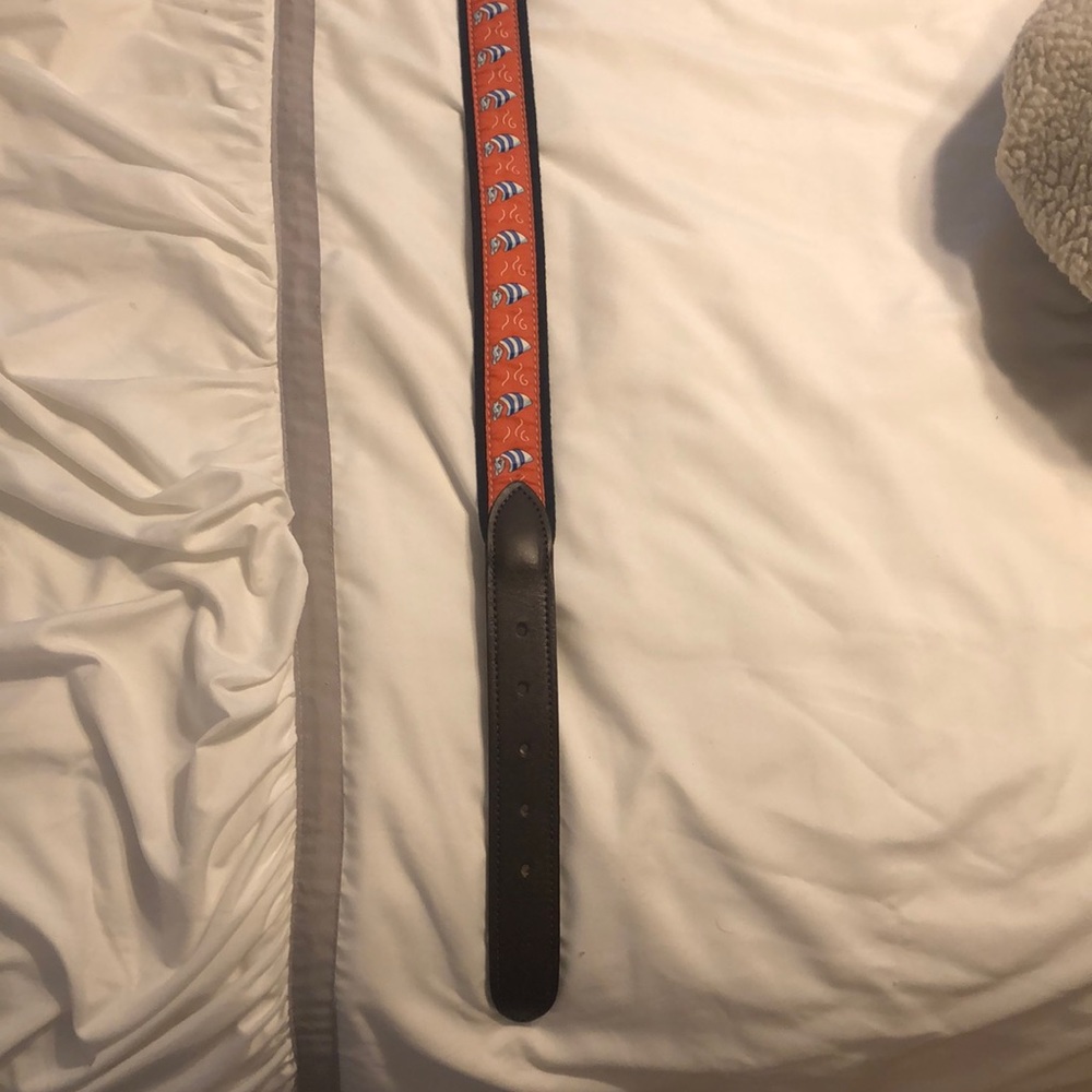 Belt - Picture 5 of 5